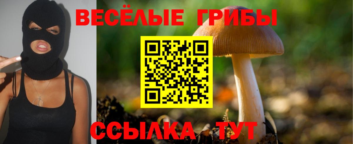 как найти наркотики  Вход с VPN  Воронеж  Псилоцибиновые грибы MAGIC MUSHROOMS  Псилоцибиновые грибы GOLDEN TEACHER 